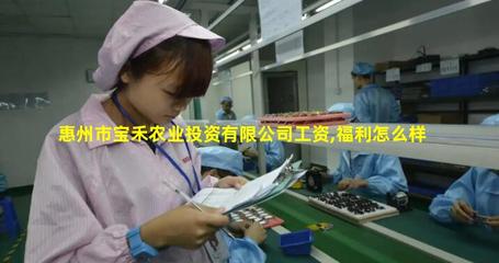惠州市寶禾農(nóng)業(yè)投資 探索農(nóng)業(yè)旅游新路徑，開啟生態(tài)休閑新體驗(yàn)