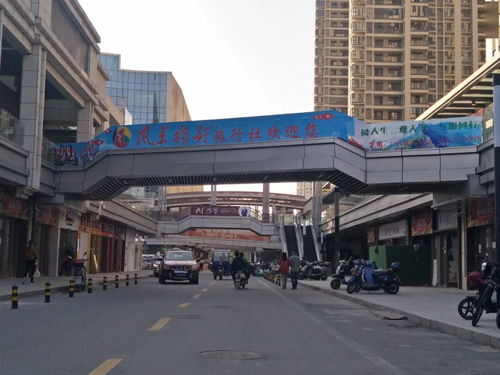 節日奮斗，風景獨好——廣信營業部盛大開業，多重優惠產品傾情上線