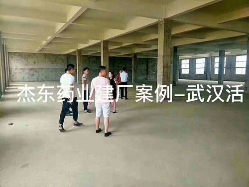 天津消毒用品廠廠房建設與配套網站建設規劃指南